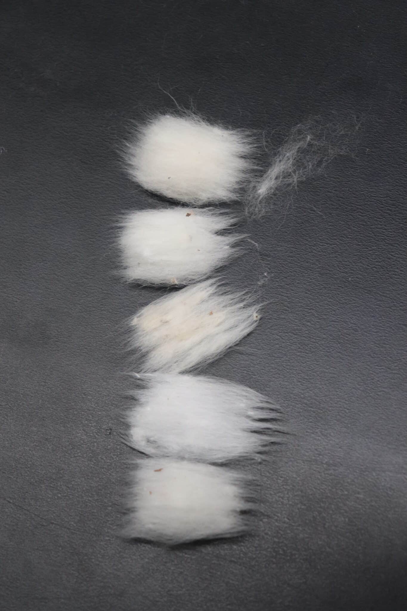 Cotton Grades Standard ICA Bremen